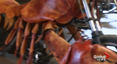 lobster.gif