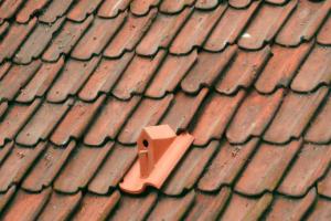 Birdhouse Rooftile: Birds Nest On Your Roof
