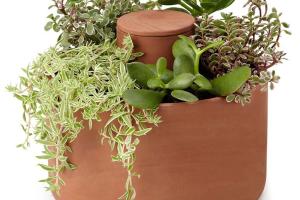 Self-Watering Planter