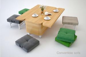 Сonvertible Sofa for Small Spaces