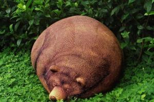 Grizzly Bear Bean Bag