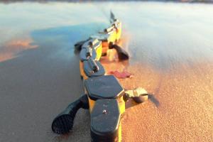 Salamandra Robotica II Crawls and Swims
