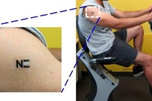 Biosensor Tattoo: Lets Athletes Know When To Stop