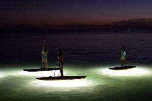 NOCQUA Glowing SUP Boards
