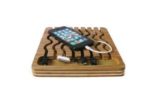 Universal Dock and Charging Station