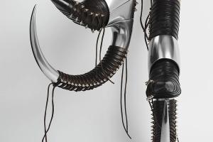 The Bow by Peter Popps