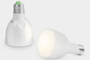 Bulb Flashlight: Light + Flashlight