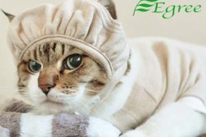 Egree Cat Hat Protects Your Pet