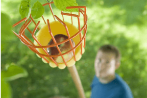 Tree Fruit Picker
