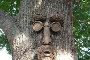 Shademaster Tree Face Gives Your Tree Personality