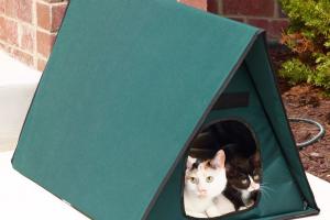 Outdoor Heated Cat Shelter: Keep Your Pets Dry and Warm