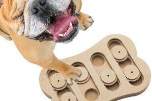 Ethical Dog Puzzle for Dog Lovers