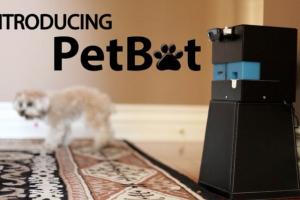 PetBot: Never Leave Your Pet Alone