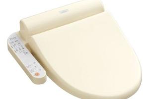 Toto Washlet Hi-Tech Toilet Seat Does the Cleaning