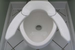 Adjustable Toilet Seat For All Butts