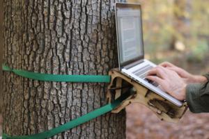DIY: Standing Tree Desk