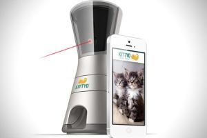 Kittyo: Play with Your Cat From Your iPhone / Android Device