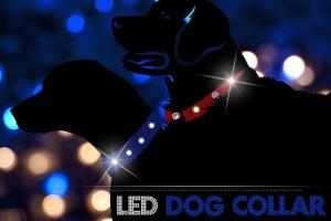 Bluetooth LED Dog Collar with Android App