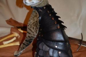 Cat Battle Armor: Get Ready for Battle