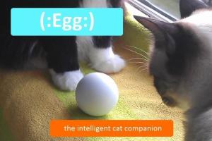 Egg Intelligent Toy for Cats