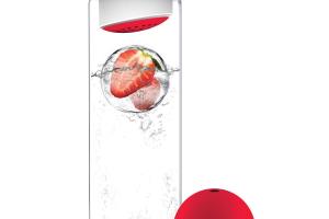 Ice Ball Flavor-It: Fruit Iceball Maker