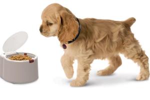 Microchip Activated Pet Feeder