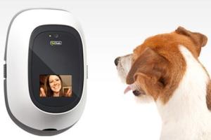 PetChatz: Chat with Your Pet from Anywhere