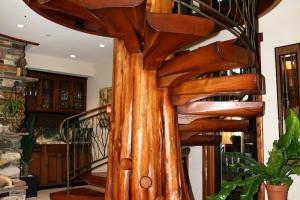Spiral Staircase from Fallen Cedar Tree
