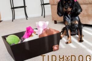 Tidy Dog Trains Your Dog To Pick Up Toys