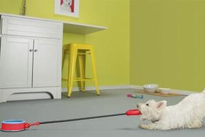 Dog-O-War Tug of War Toy for Dogs