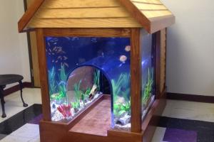 Fish Tank + Dog House