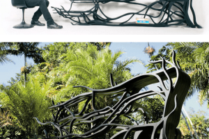 Metamorphosis: Bookshelf + Art