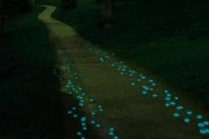 Glow in the Dark Pebbles for Your Garden