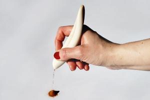 CinniBird Pen Uses Cinnamon As Writing Material