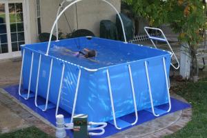 Swimmer’s Treadmill: iPool Exercise Swimming Pool