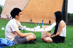 Napkin Table: Portable Picnic Table for Two
