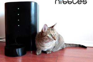 Nibbles Smart Pet Feeder: Feed & Watch From Anywhere