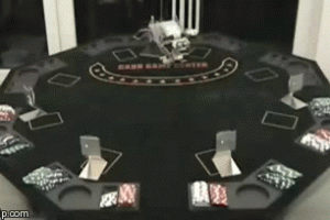 Automatic Poker Dealer Robot