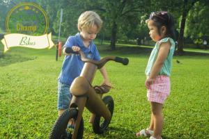 GreenChamp Bamboo Balance Bikes for Kids