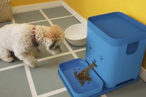 Pawport: App-enabled Pet Feeder