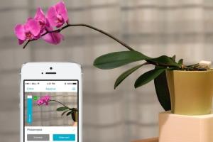 AQUARIUS: Smart Plant Watering {iOS/Android}