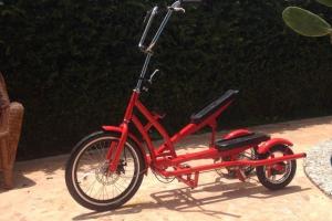 Cricket: Tricycle + Stepper with Foldable Design
