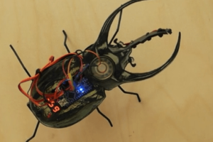 Cyberbeetle: Robot Reacts To Audio/Visual Content