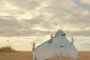 Project Wing: Google’s Drone Delivery System