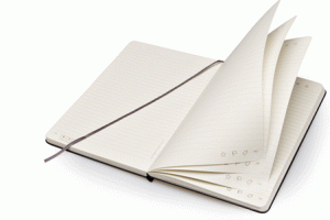 Livescribe Notebook by Moleskine: Next Gen Writing