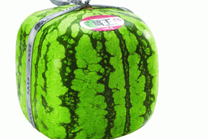Square Watermelon Mold: Make Cube-Shaped Watermelons