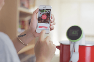 Nomiku Sous Vide: WiFi Connected, Smart Machine