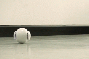 Rollybot: Rolling WiFi Camera Robot