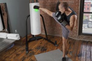 Striker: App Enabled Martial Arts Trainer for Punching Bags