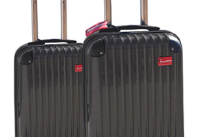 ThermalStrike Heated Luggage Kills Bed Bugs